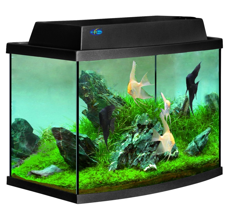 http://www.aqua-land.ru/custom/themes/default/img/biodizain/Classic50_R_blek_full.jpg