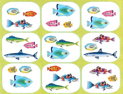 Собери 9 разных рыбок