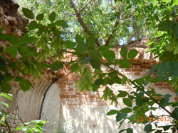 http://www.orenburg-gov.ru/magnoliaPublic/regportal/Info/OrbRegion/monuments/monuments/PageContent/0/body_files/file25/pic27.png
