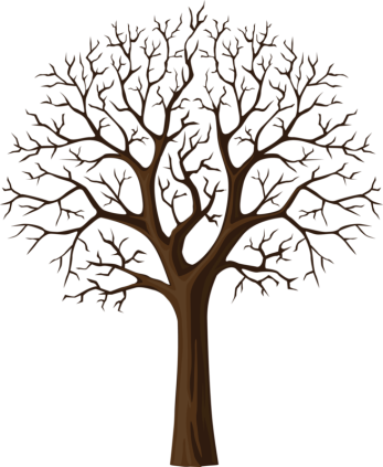Черный Дерева Ветви Силуэт, Изолированные На Белом Векторные клипарты - ClipartLogo.com
