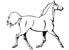 http://www.supercoloring.com/wp-content/main/2008_11/horse-is-running-coloring-page.gif