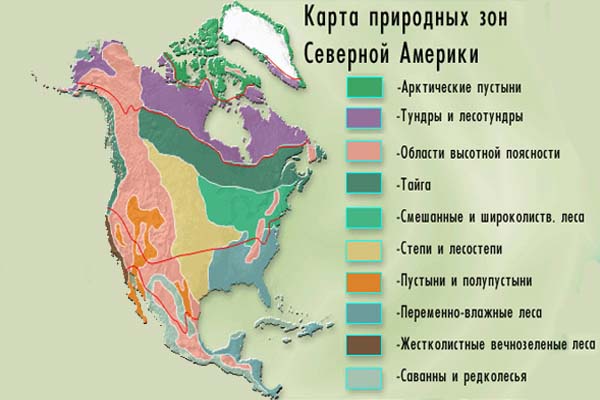 http://900igr.net/datai/geografija/Materik-Amerika/0012-018-Prirodnye-zony-Severnoj-Ameriki.jpg