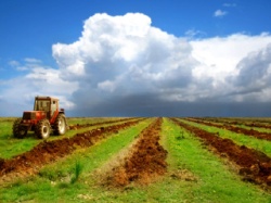 скачать Stock Photo - Agriculture Сельское хозяйство 
