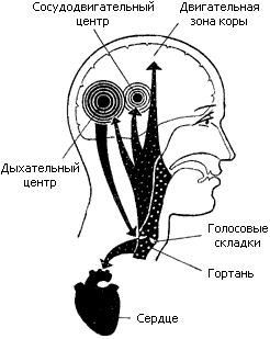 Картинка 2 из 95