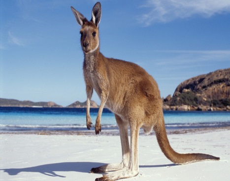 Welcome To Western Australia Tourism Western Australia - pressphoto.asia