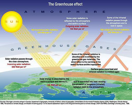 http://marinebio.org/i/globalwarming.jpg