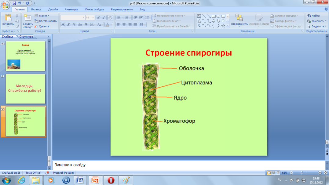 Биология водоросли конспект