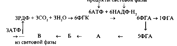 http://www.library.timacad.ru/sources/electr_izd/kovalev/Image8.gif