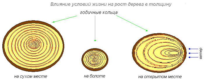 http://biouroki.ru/content/page/680/19.png