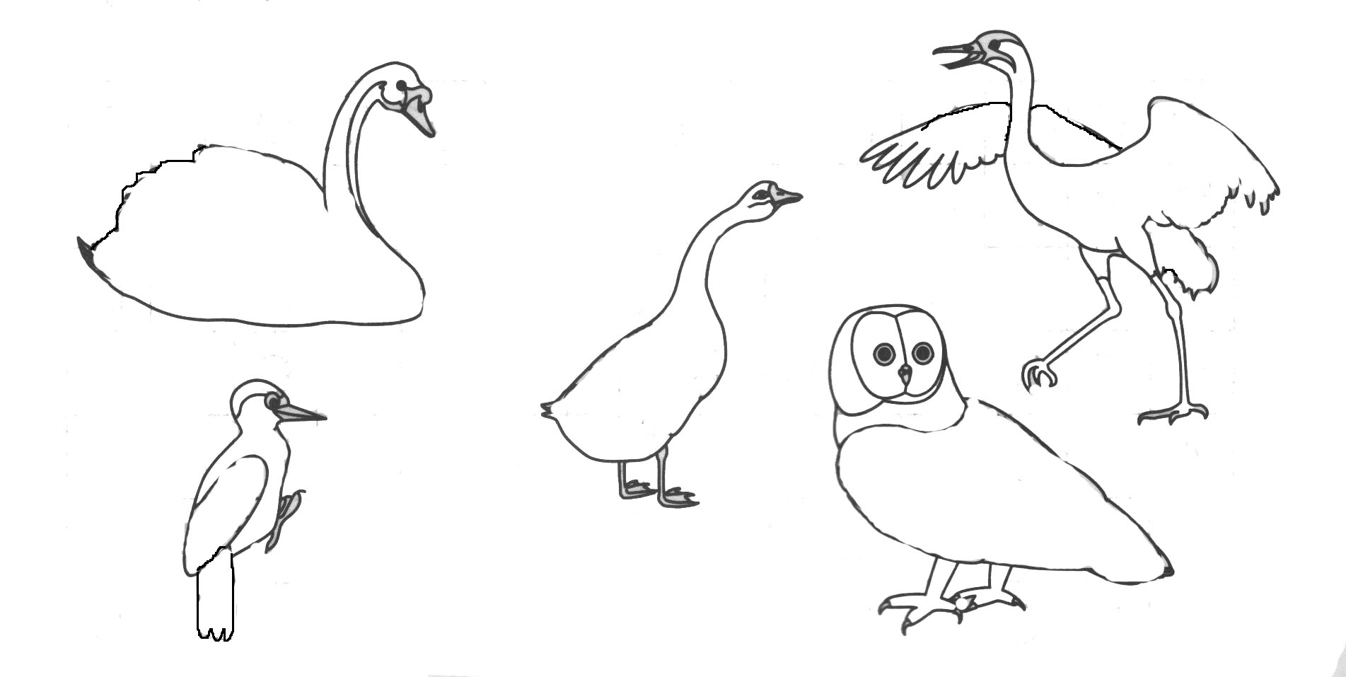 Как нарисовать Гусь и лебедь просто они стоят