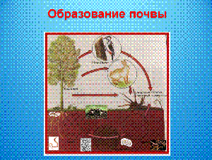 http://festival.1september.ru/articles/565751/img12.gif