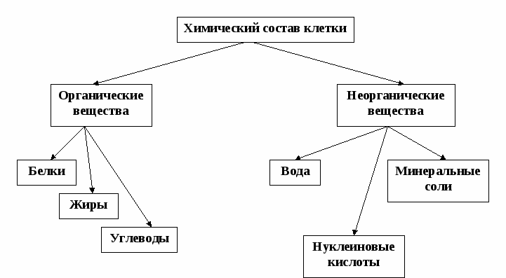 Система наиболее общих