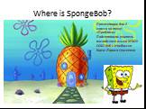 Where is SpongeBob?
