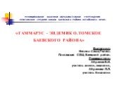 Гаммарус-эндемик о. Томское Баевского района