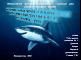 Образ акулы в английском и русском языке