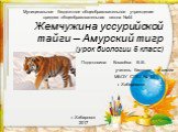 Жемчужина уссурийской тайги – амурский тигр