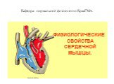 Физиологические свойства сердечной мышцы