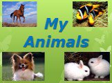 My animals