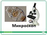 Микроскоп и его возможности