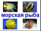 Рыбы, морские животные