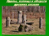 Идолы, капища и обереги древних славян