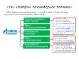 ООО «Газпром газомоторное топливо»