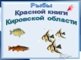 Рыбы красной книги кировской области