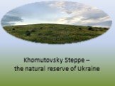 Khomutovsky steppe – the natural reserve of ukraine