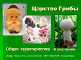 Общая характеристика и значение грибов