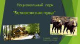 Национальный парк «беловежская пуща»