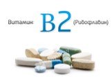 Рибофлавин. витамин b2