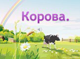 Домашнее животное Корова