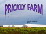 Prickly farm