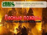 Лесные пожары и их последствия