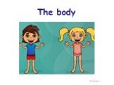Части тела (Parts of the body)