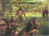 Эволюция приматов