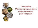 29 декабря - международный день биологического разнообразия