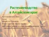 Растениеводство в Алтайском крае