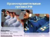 Правоохранительные органы РФ
