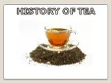 HISTORY OF TEA