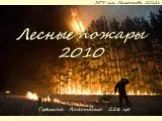 Лесные пожары 2010