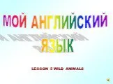 Wild animals - дикие животные
