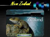 Новая зеландия - new zealand