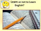 Learn or not to learn English?