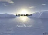 Заповедник "Русская Арктика"