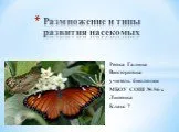 Размножение и типы развития насекомых