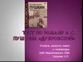 «Дубровский» А.С. Пушкин - контроль знаний