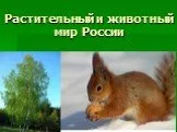 Растительный и животный мир россии