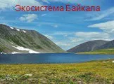 Экосистема Байкала