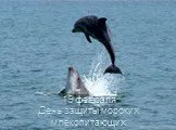 19 февраля День защиты морских млекопитающих